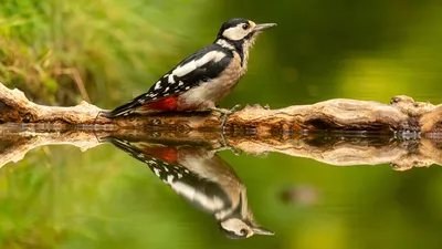 748b503e-0163-4d94-afec-d185753b8e1f