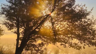 931281b4-c875-43f3-931f-4b03b327691d