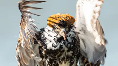 736a4ced-1924-4e00-aec5-6dce0a7a83ed