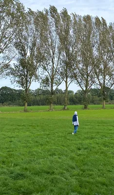 170b2603-0cc6-465c-a734-52731db11e33