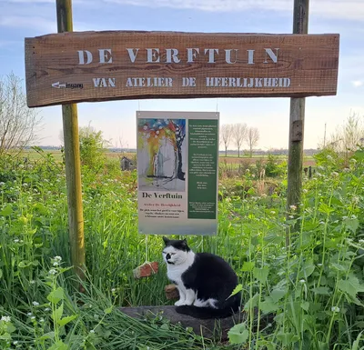 3 Creatieve  workshops 'Bakske Kunst' in thema natuur en kleur